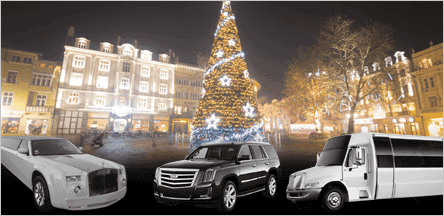 A1 Luxury Transport Christmas Light Tours
