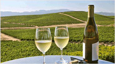 Wine Tours To Napa From San Francisco
