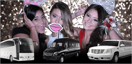 A1 Luxury Transport Quinceanera Sweet 16 Limo Party Buses