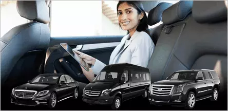Executive Transport A1