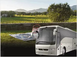 Limo Service in St.Helena