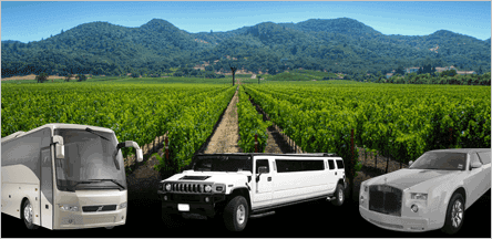 Wine Tours From San Francisco Napa Valley